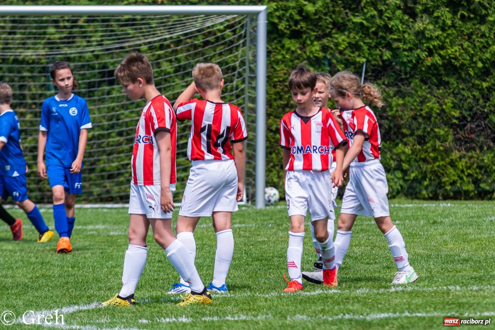Zdjęcie w galerii na portalu naszraciborz.pl: Kędzierzyński Chemik triumfatorem V turnieju im. Huberta Kostki [FOTO i WIDEO] wiadomości z regionu