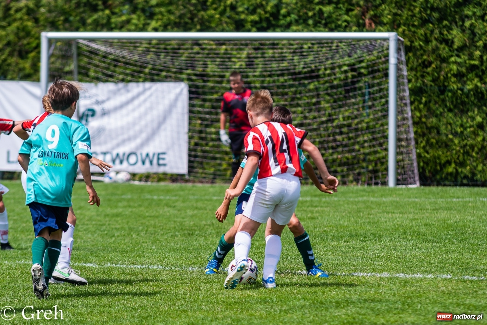 Zdjęcie w galerii na portalu naszraciborz.pl: Kędzierzyński Chemik triumfatorem V turnieju im. Huberta Kostki [FOTO i WIDEO] wiadomości z regionu