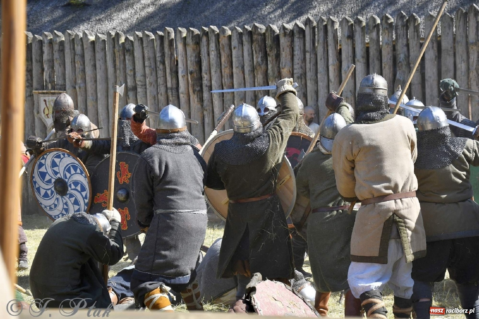 Zdjęcie w galerii na portalu naszraciborz.pl: Wielka bitwa wojów pod Oborą [FOTO i WIDEO] wiadomości z regionu