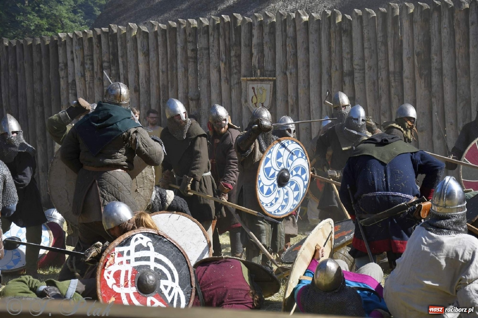 Zdjęcie w galerii na portalu naszraciborz.pl: Wielka bitwa wojów pod Oborą [FOTO i WIDEO] wiadomości z regionu