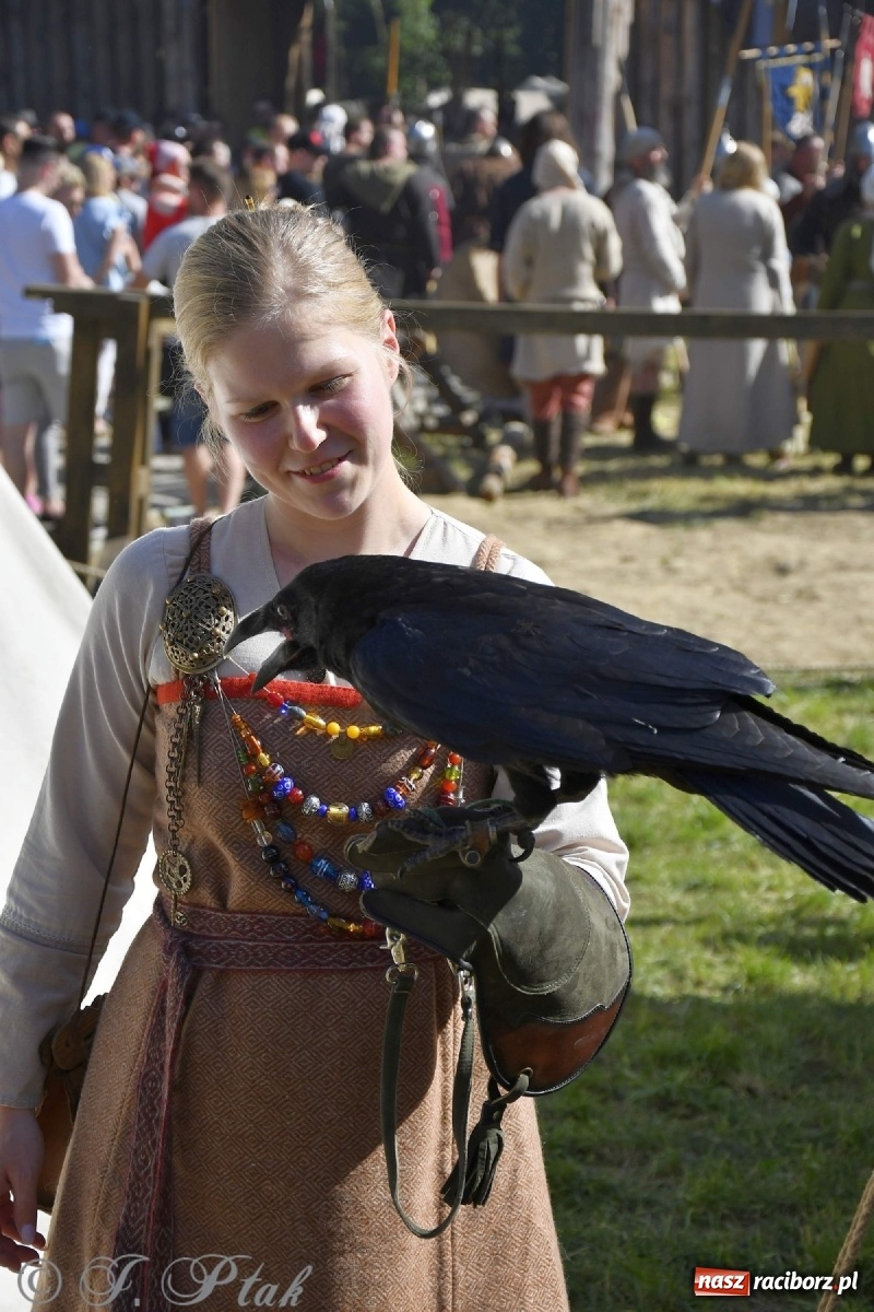 Zdjęcie w galerii na portalu naszraciborz.pl: Wielka bitwa wojów pod Oborą [FOTO i WIDEO] wiadomości z regionu