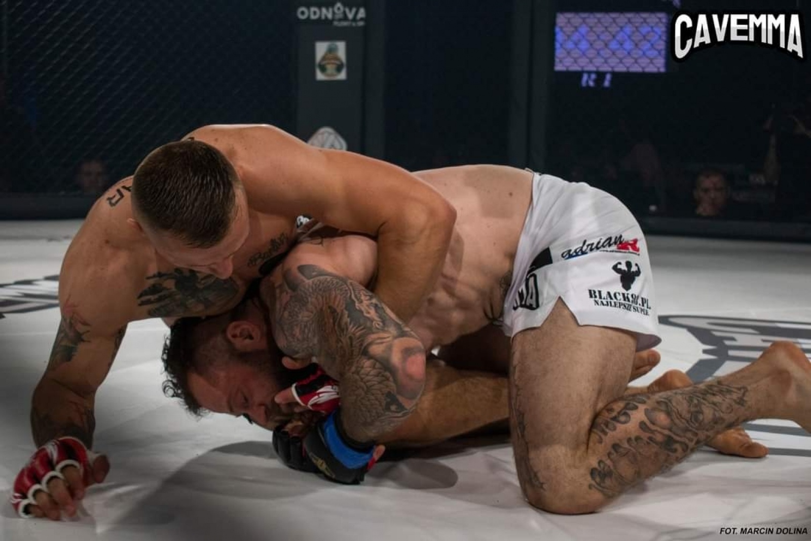 Zdjęcie w galerii na portalu naszraciborz.pl: Gala MMA w Jaworznie. Zawodnik kuźniańskiej Sparty zdemolował rywala wiadomości z regionu