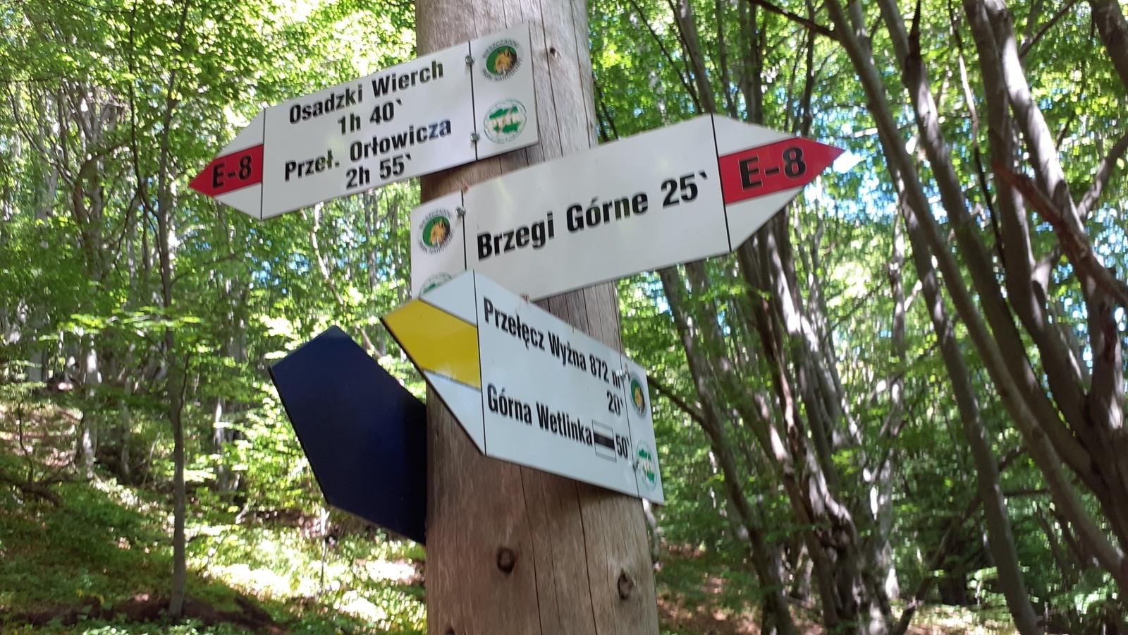 Zdjęcie w galerii na portalu naszraciborz.pl: Cztery dni w Bieszczadach. Kolejna wyprawa PTTK Racibórz za nami wiadomości z regionu