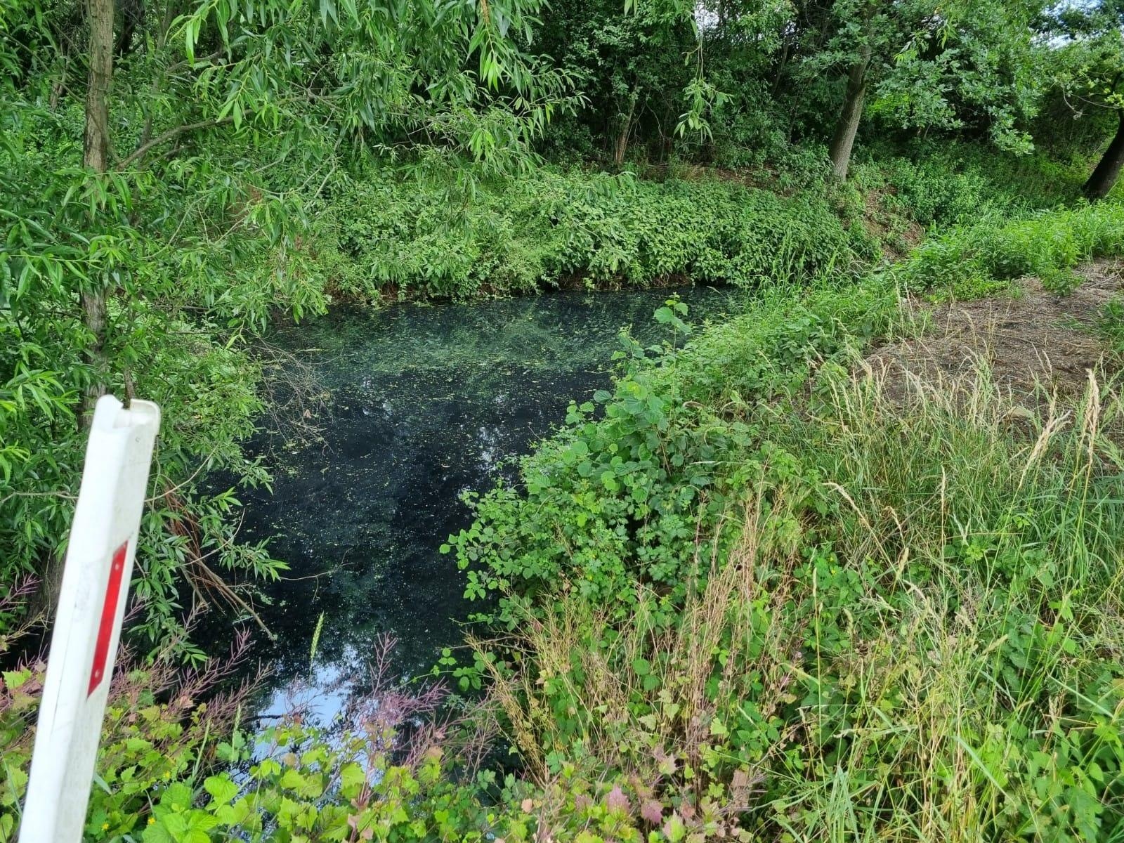 Zdjęcie w galerii na portalu naszraciborz.pl: Tajemnicza substancja w Pilarce w Tworkowie wiadomości z regionu