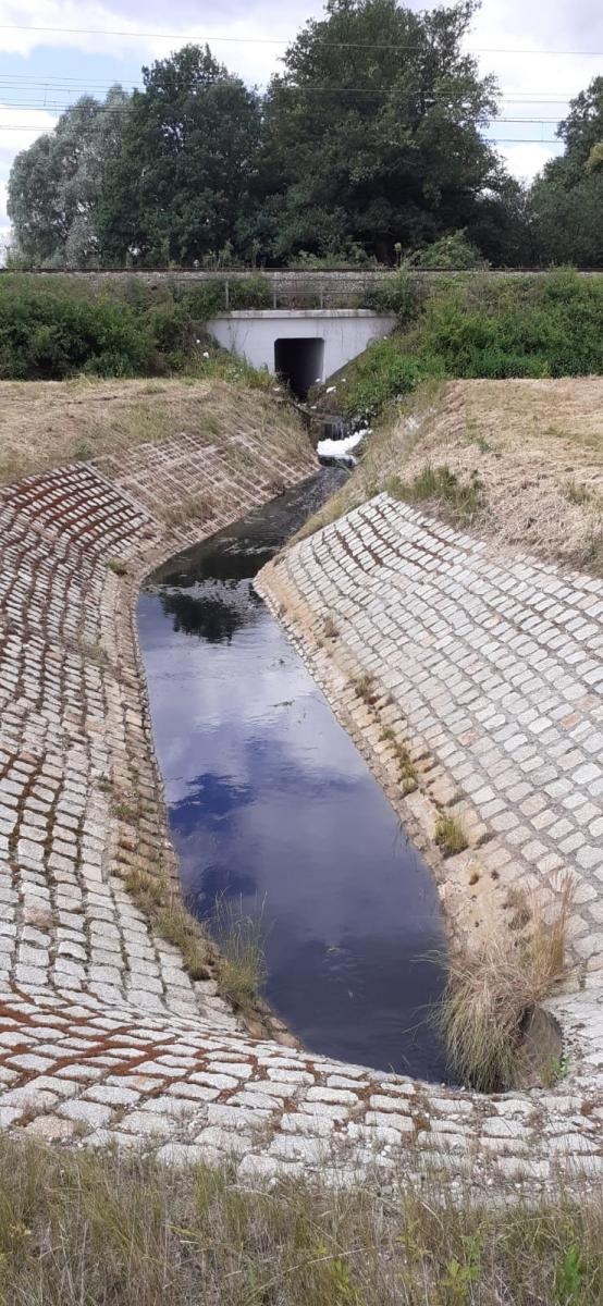 Zdjęcie w galerii na portalu naszraciborz.pl: Tajemnicza substancja w Pilarce w Tworkowie wiadomości z regionu