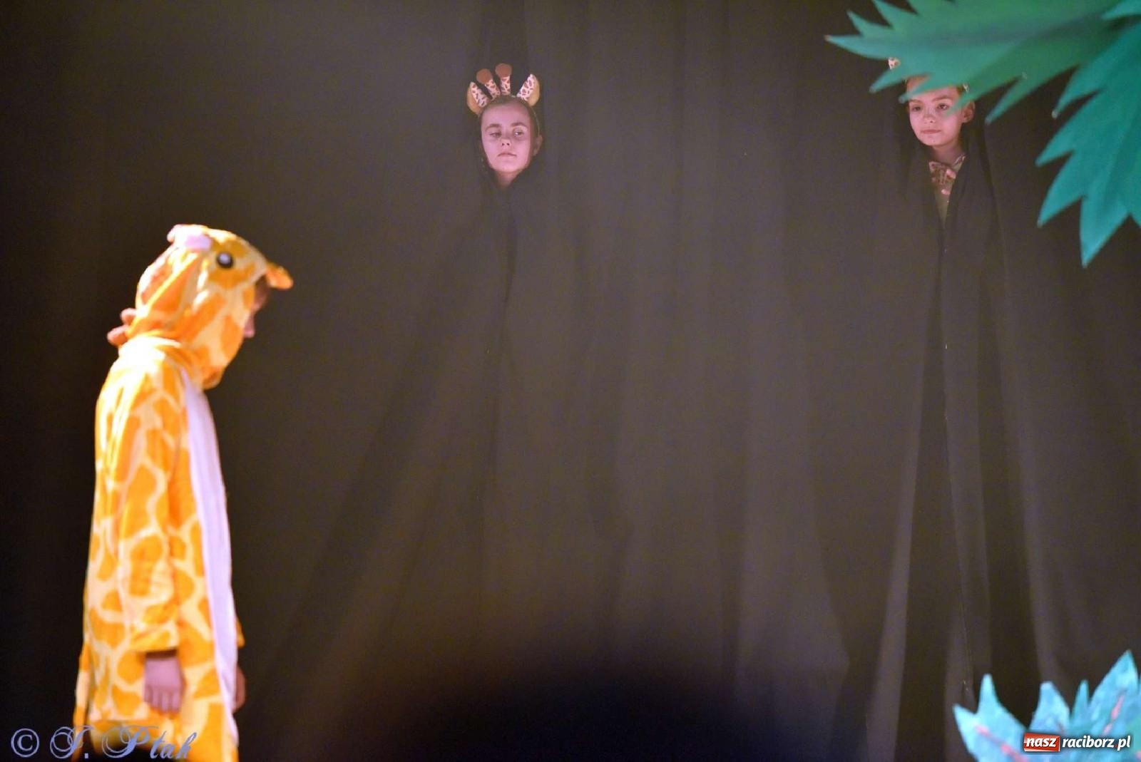 Zdjęcie w galerii na portalu naszraciborz.pl: Magiczny wieczór teatralnych premier w MDK-u wiadomości z regionu