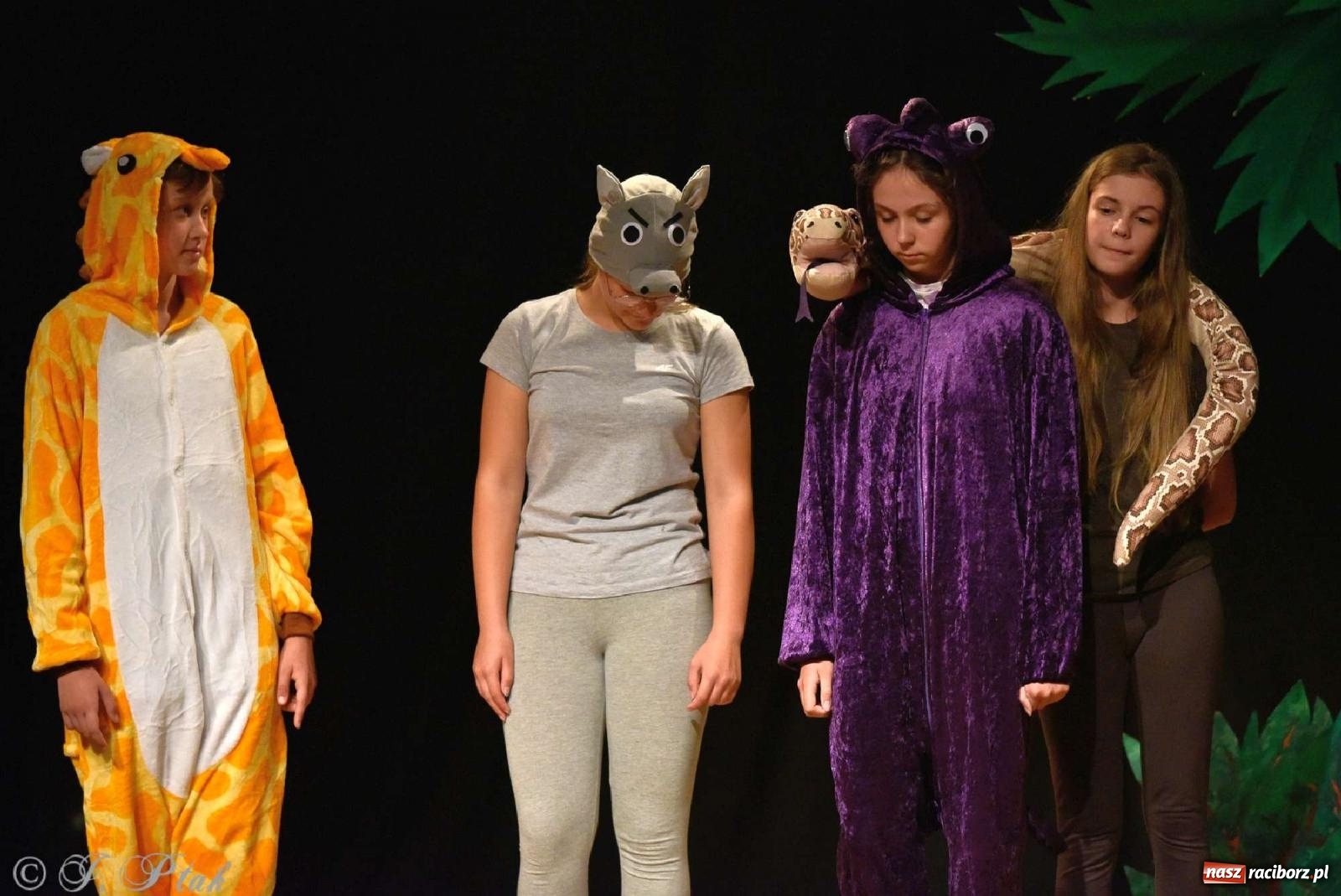 Zdjęcie w galerii na portalu naszraciborz.pl: Magiczny wieczór teatralnych premier w MDK-u wiadomości z regionu