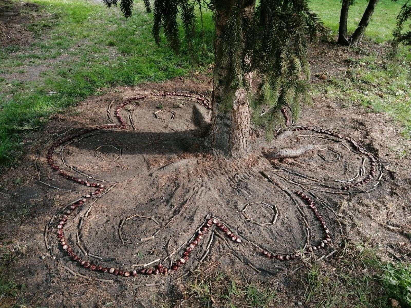 Zdjęcie w galerii na portalu naszraciborz.pl: Projekt eTwinning w ZSS w Raciborzu z Odznaką Jakości wiadomości z regionu