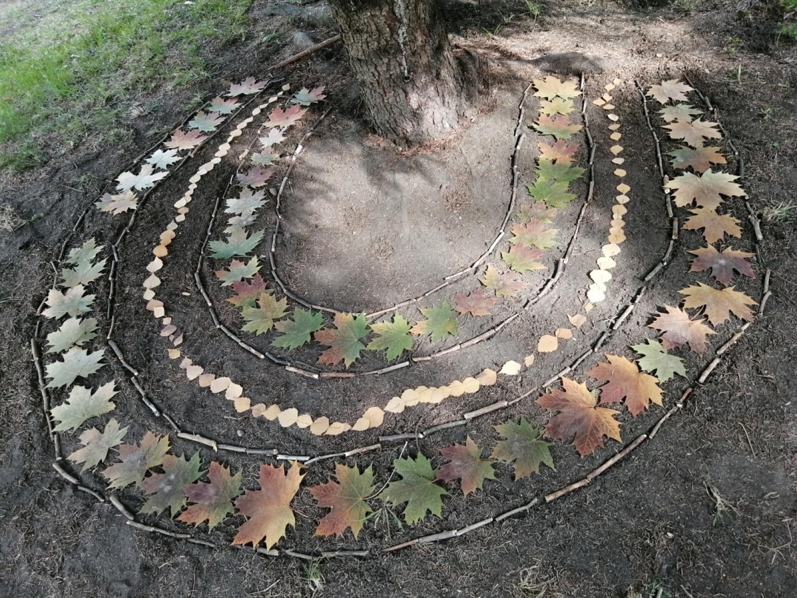 Zdjęcie w galerii na portalu naszraciborz.pl: Projekt eTwinning w ZSS w Raciborzu z Odznaką Jakości wiadomości z regionu