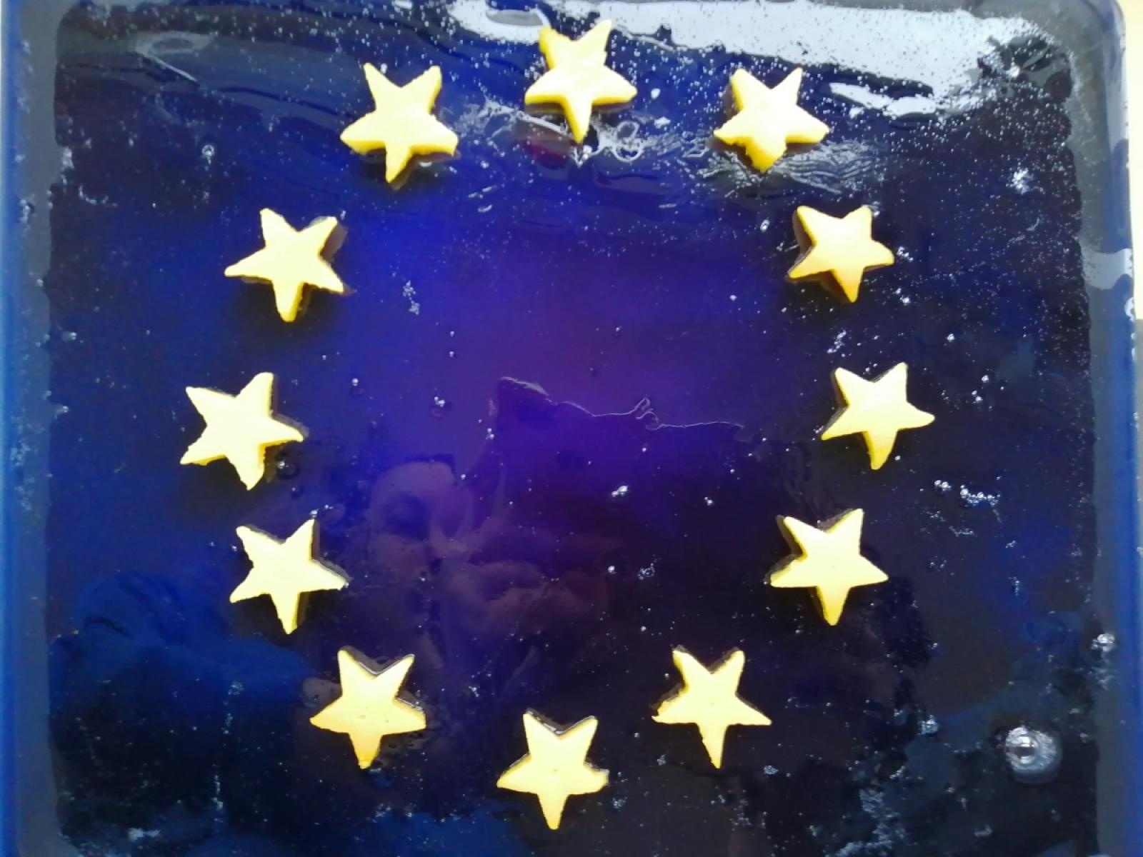 Zdjęcie w galerii na portalu naszraciborz.pl: Projekt eTwinning w ZSS w Raciborzu z Odznaką Jakości wiadomości z regionu