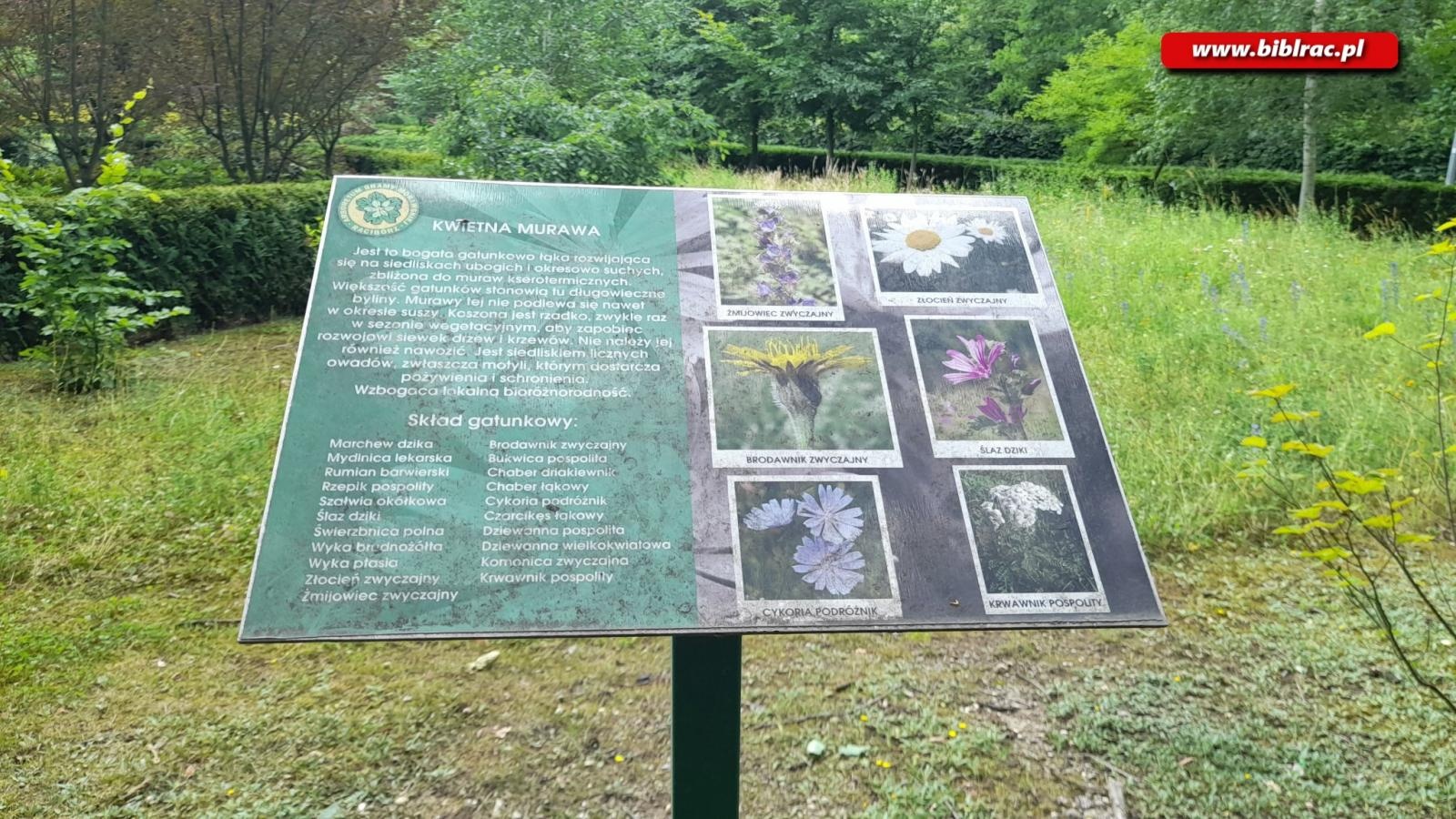 Zdjęcie w galerii na portalu naszraciborz.pl: Biblioteczny Klub w Zaczarowanym Ogrodzie wiadomości z regionu