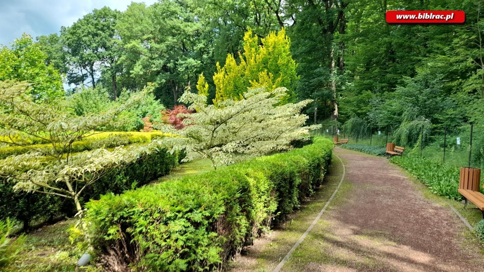 Zdjęcie w galerii na portalu naszraciborz.pl: Biblioteczny Klub w Zaczarowanym Ogrodzie wiadomości z regionu