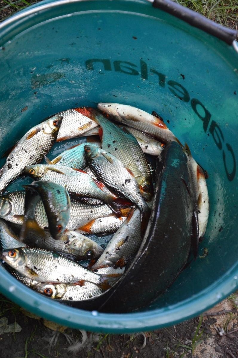 Zdjęcie w galerii na portalu naszraciborz.pl: Wędkarska rywalizacja na klasztornym akwenie [FOTO] wiadomości z regionu