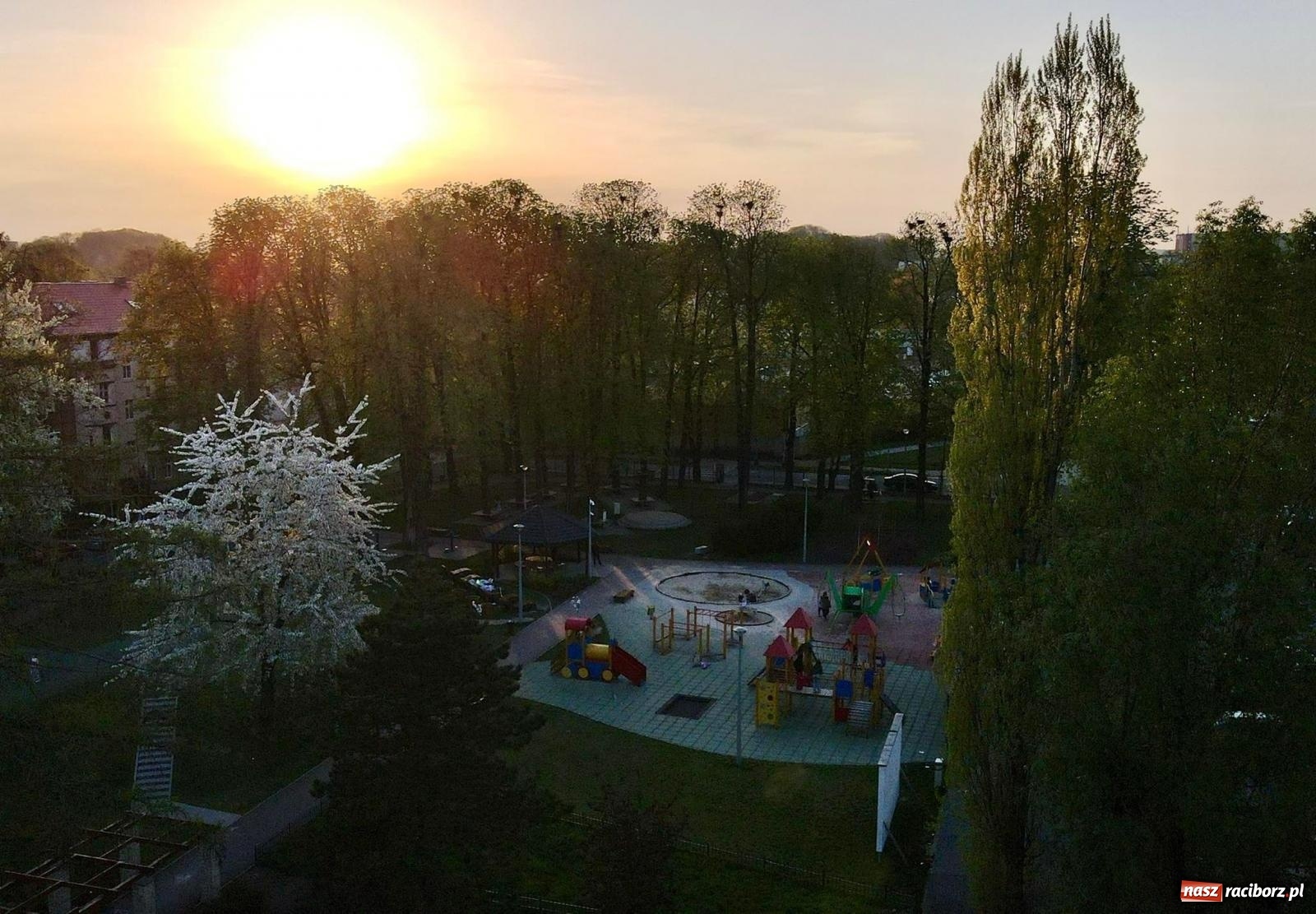 Zdjęcie w galerii na portalu naszraciborz.pl: Nie jest dobrze! Radna Poznakowska o Parku Jordanowskim wiadomości z regionu