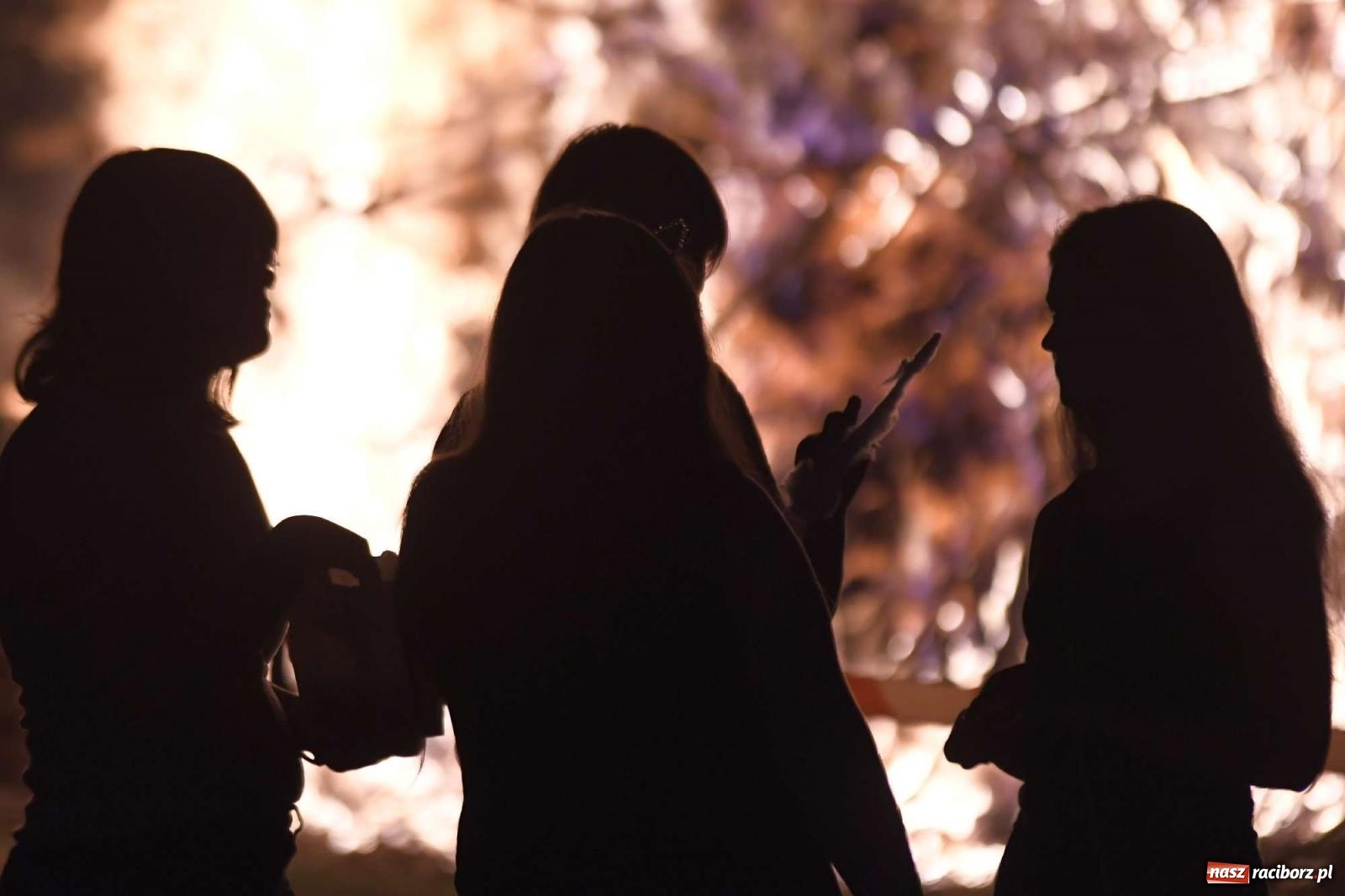 Zdjęcie w galerii na portalu naszraciborz.pl: Magiczna Noc Świętojańska w Kornicach [FOTO i WIDEO] wiadomości z regionu