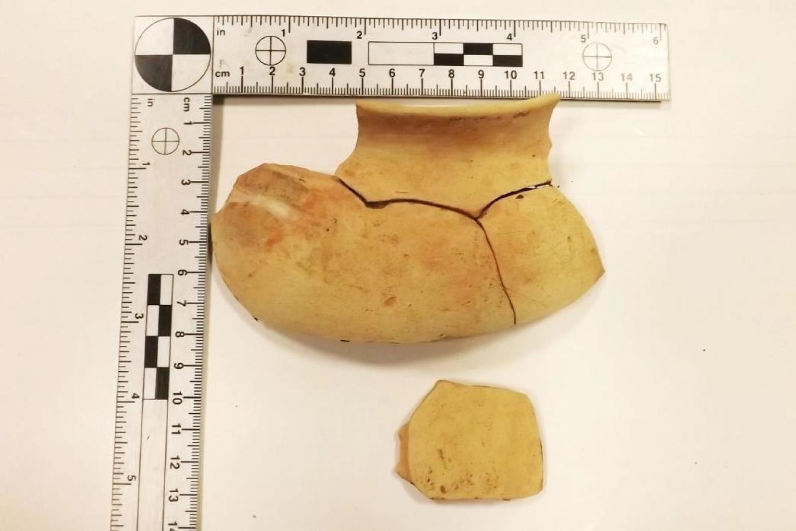 Zdjęcie w galerii na portalu naszraciborz.pl: Jak nie zostać wakacyjnym przemytnikiem [LISTA RZECZY ZABRONIONYCH] wiadomości z regionu