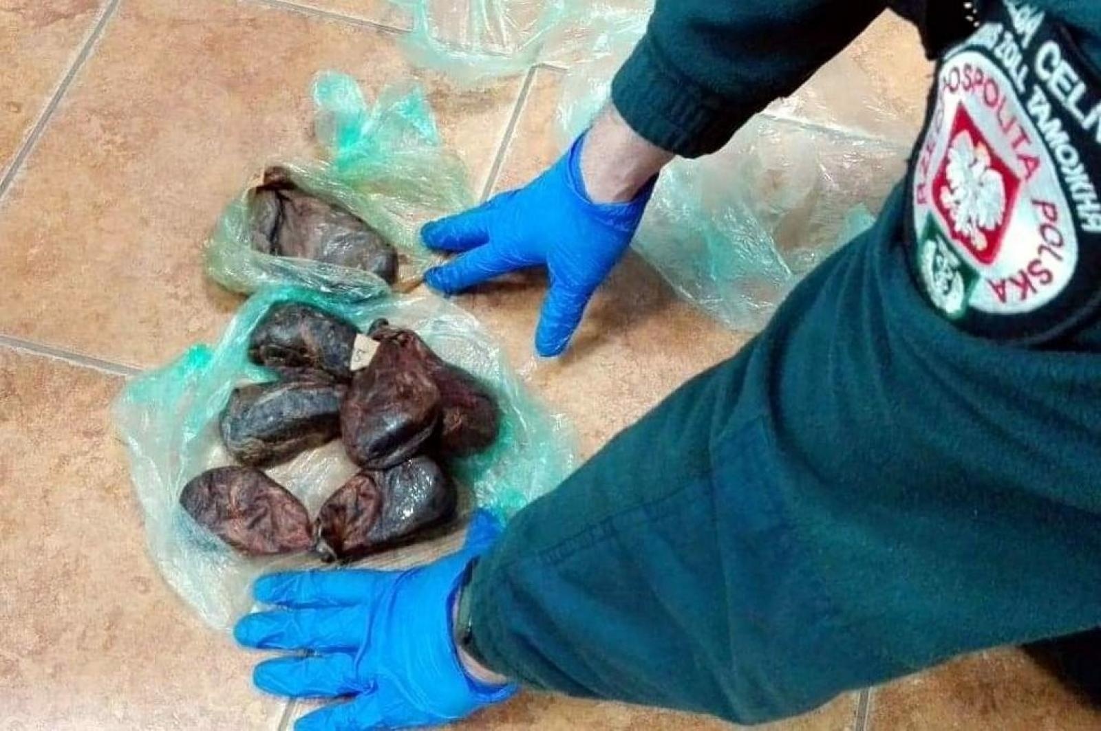 Zdjęcie w galerii na portalu naszraciborz.pl: Jak nie zostać wakacyjnym przemytnikiem [LISTA RZECZY ZABRONIONYCH] wiadomości z regionu