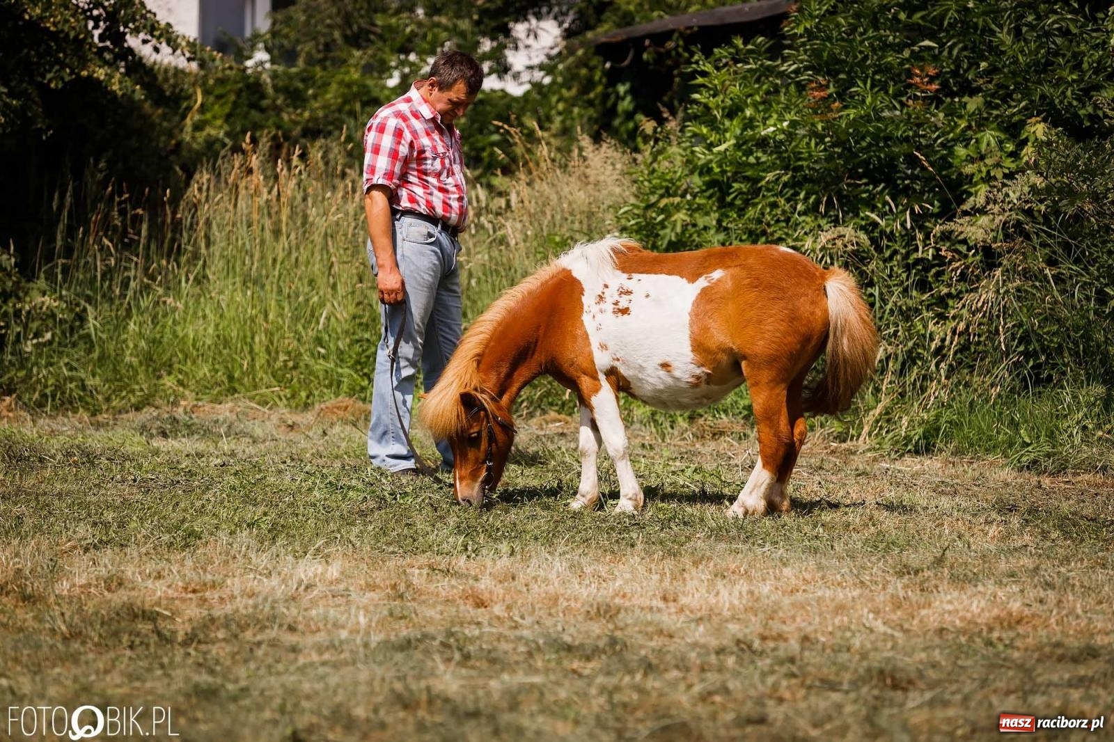 Zdjęcie w galerii na portalu naszraciborz.pl: Liga jednorożca. Zawody konne w Łubowicach wiadomości z regionu