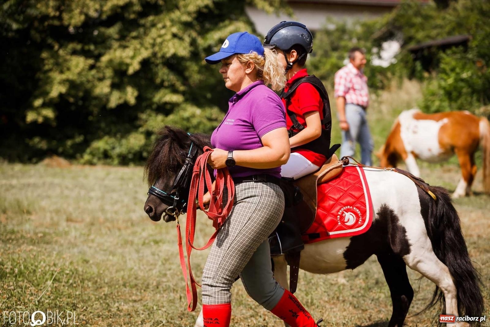 Zdjęcie w galerii na portalu naszraciborz.pl: Liga jednorożca. Zawody konne w Łubowicach wiadomości z regionu