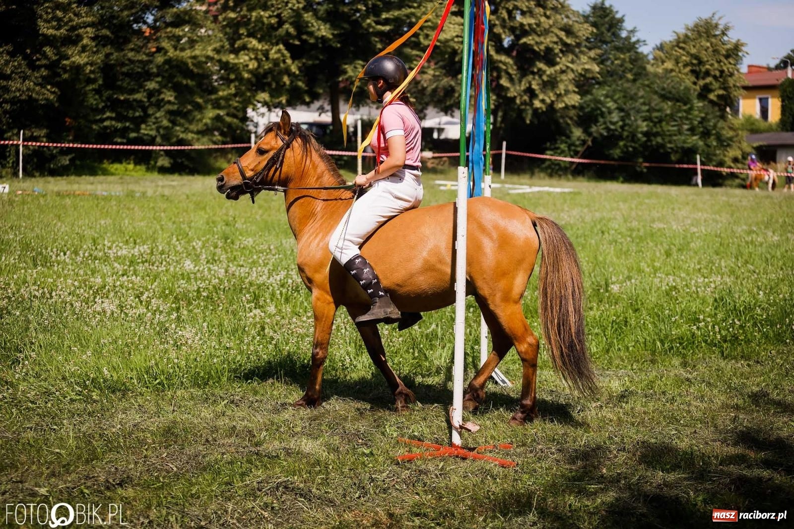 Zdjęcie w galerii na portalu naszraciborz.pl: Liga jednorożca. Zawody konne w Łubowicach wiadomości z regionu