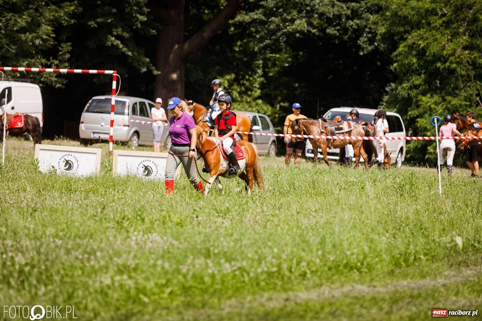 Zdjęcie w galerii na portalu naszraciborz.pl: Liga jednorożca. Zawody konne w Łubowicach wiadomości z regionu