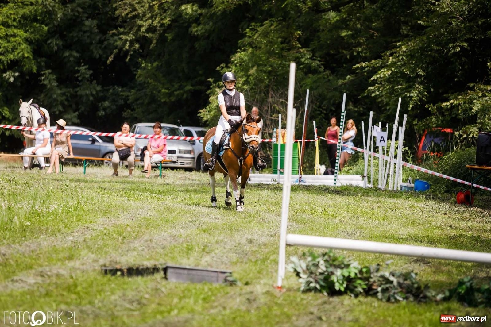 Zdjęcie w galerii na portalu naszraciborz.pl: Liga jednorożca. Zawody konne w Łubowicach wiadomości z regionu