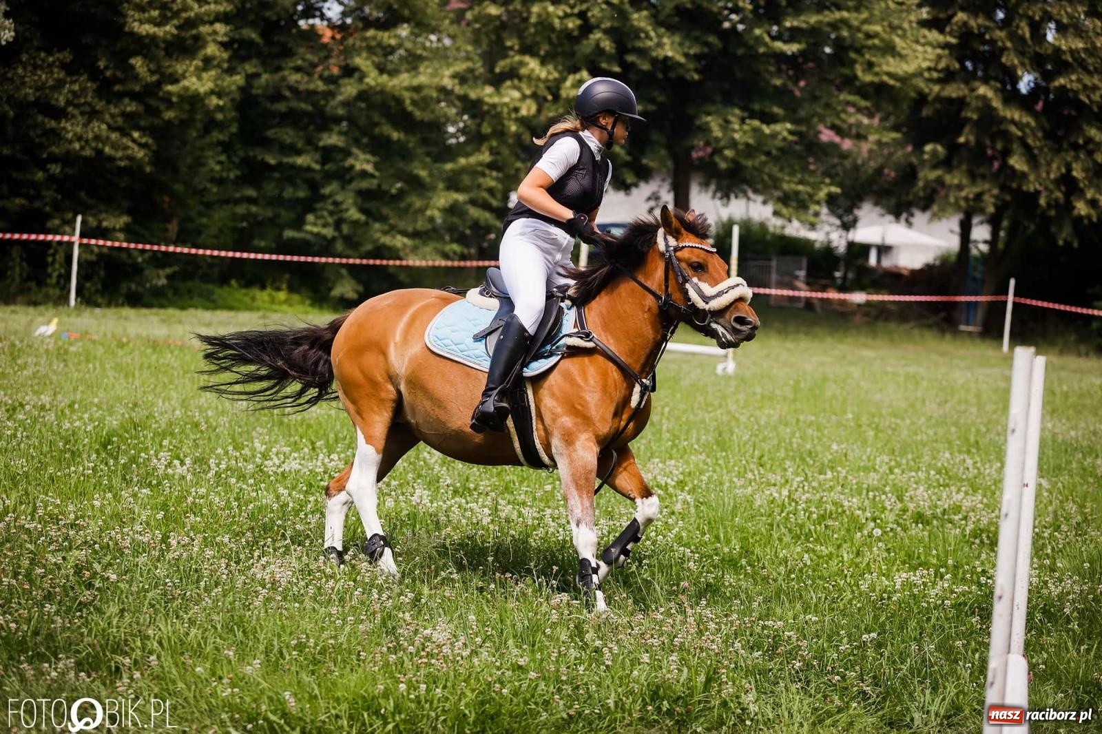 Zdjęcie w galerii na portalu naszraciborz.pl: Liga jednorożca. Zawody konne w Łubowicach wiadomości z regionu