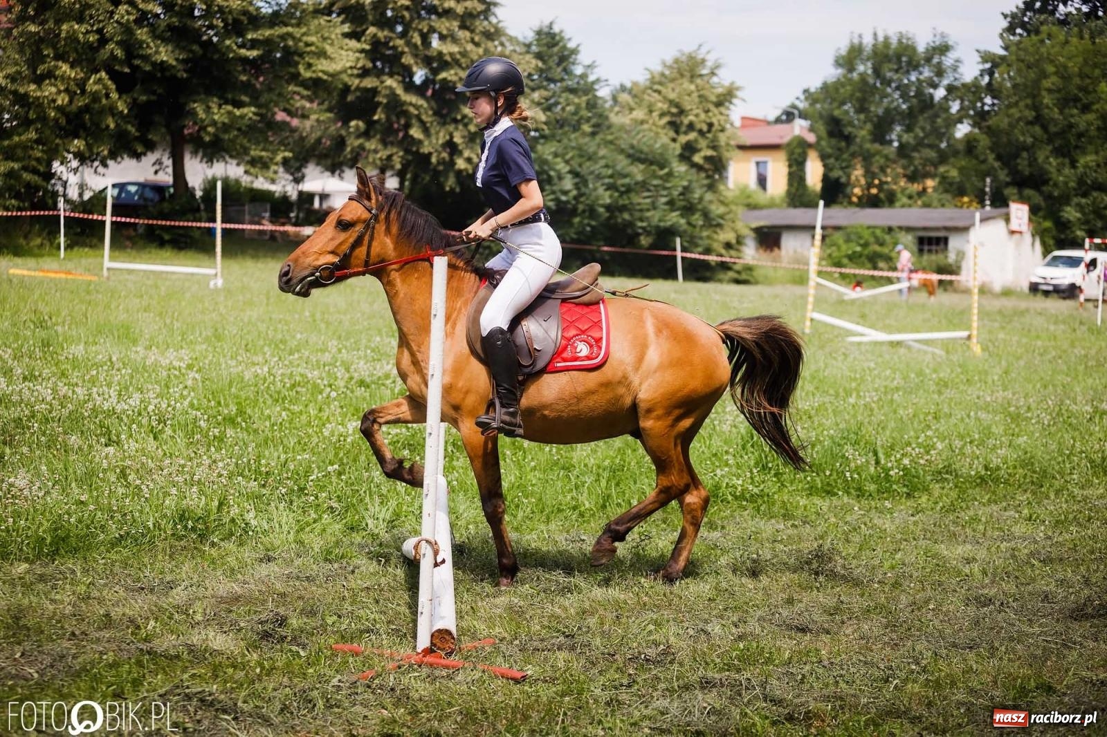 Zdjęcie w galerii na portalu naszraciborz.pl: Liga jednorożca. Zawody konne w Łubowicach wiadomości z regionu