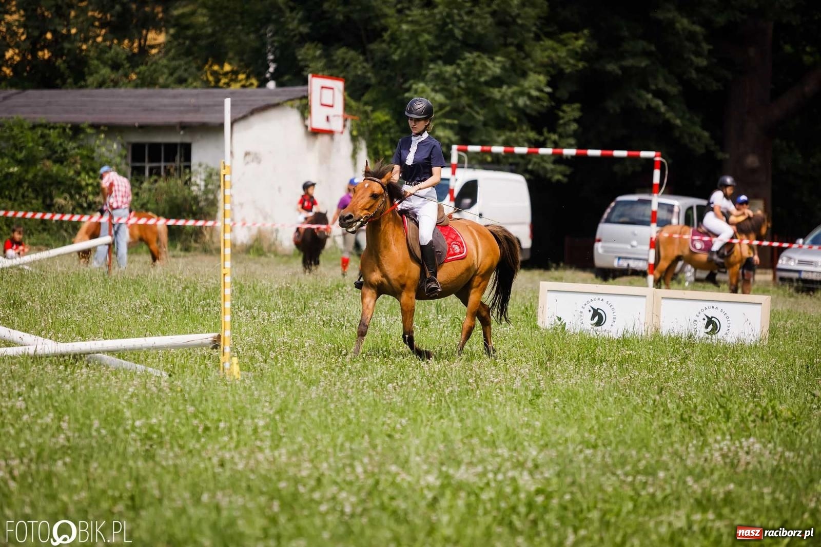 Zdjęcie w galerii na portalu naszraciborz.pl: Liga jednorożca. Zawody konne w Łubowicach wiadomości z regionu