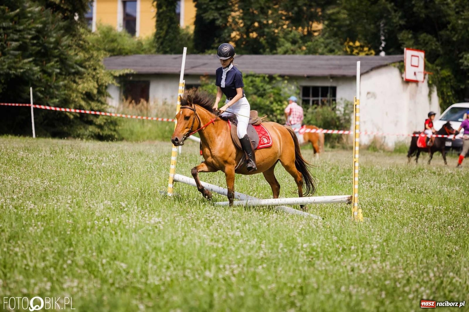 Zdjęcie w galerii na portalu naszraciborz.pl: Liga jednorożca. Zawody konne w Łubowicach wiadomości z regionu