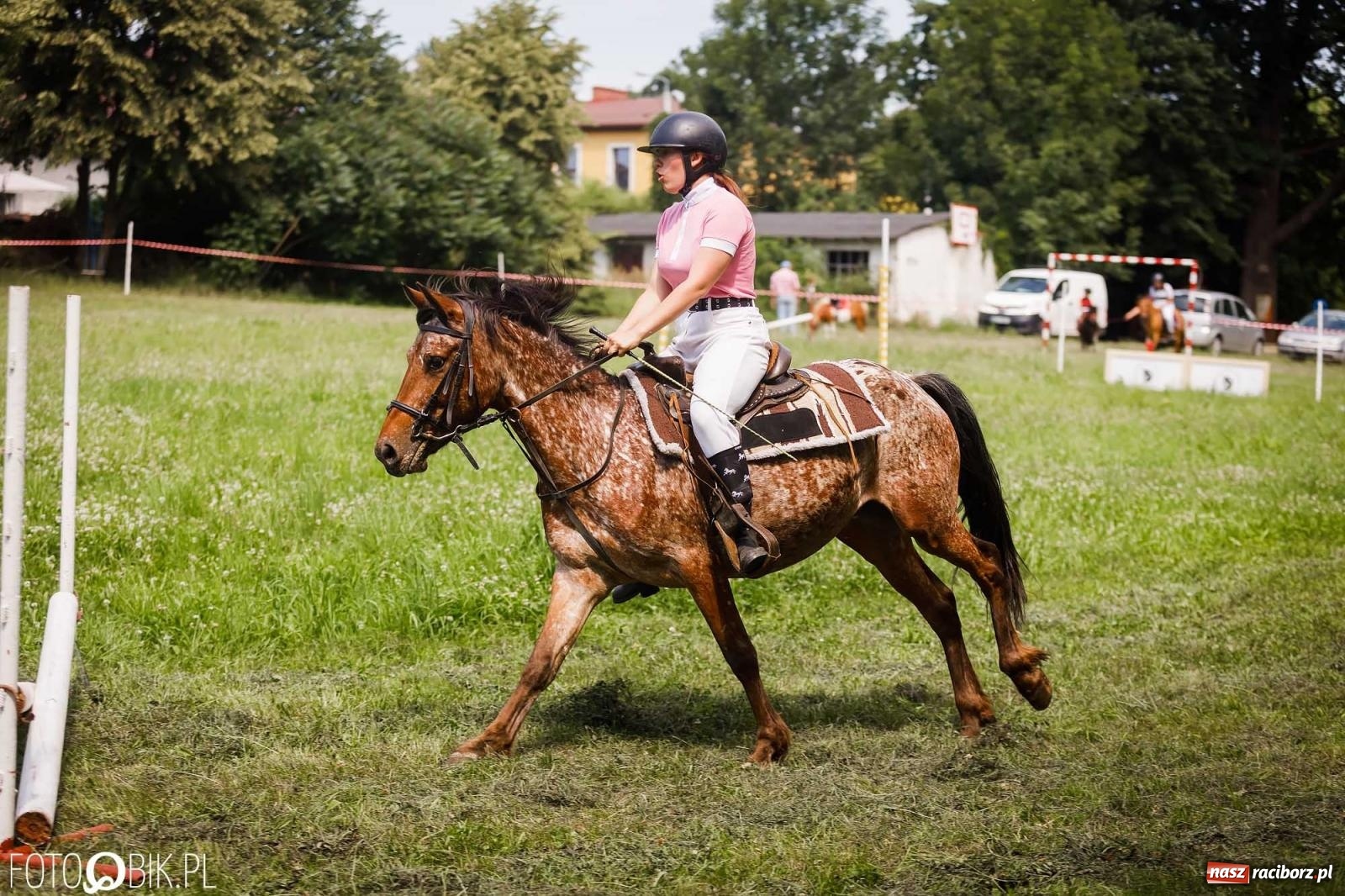 Zdjęcie w galerii na portalu naszraciborz.pl: Liga jednorożca. Zawody konne w Łubowicach wiadomości z regionu