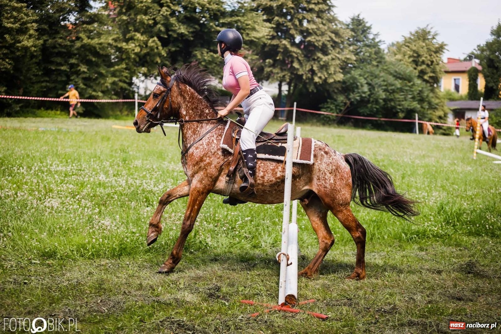 Zdjęcie w galerii na portalu naszraciborz.pl: Liga jednorożca. Zawody konne w Łubowicach wiadomości z regionu