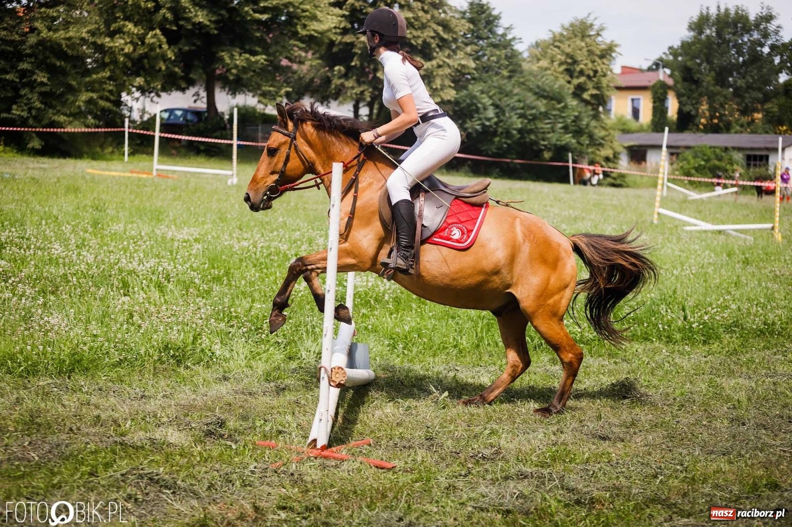 Zdjęcie w galerii na portalu naszraciborz.pl: Liga jednorożca. Zawody konne w Łubowicach wiadomości z regionu