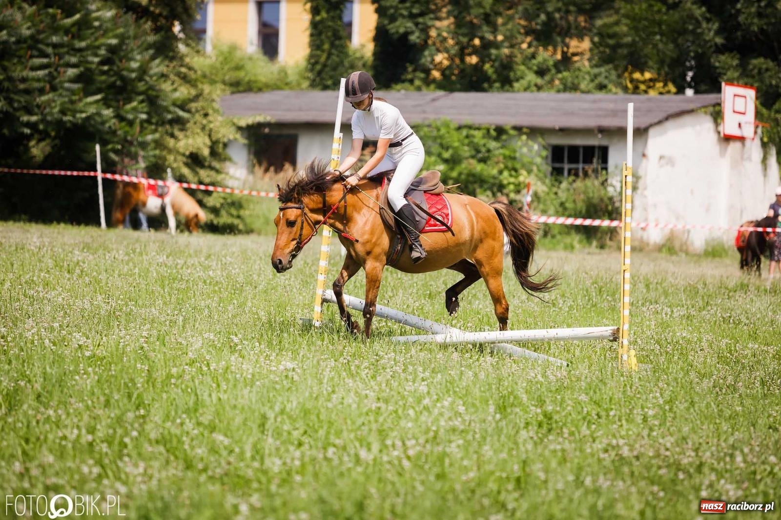 Zdjęcie w galerii na portalu naszraciborz.pl: Liga jednorożca. Zawody konne w Łubowicach wiadomości z regionu