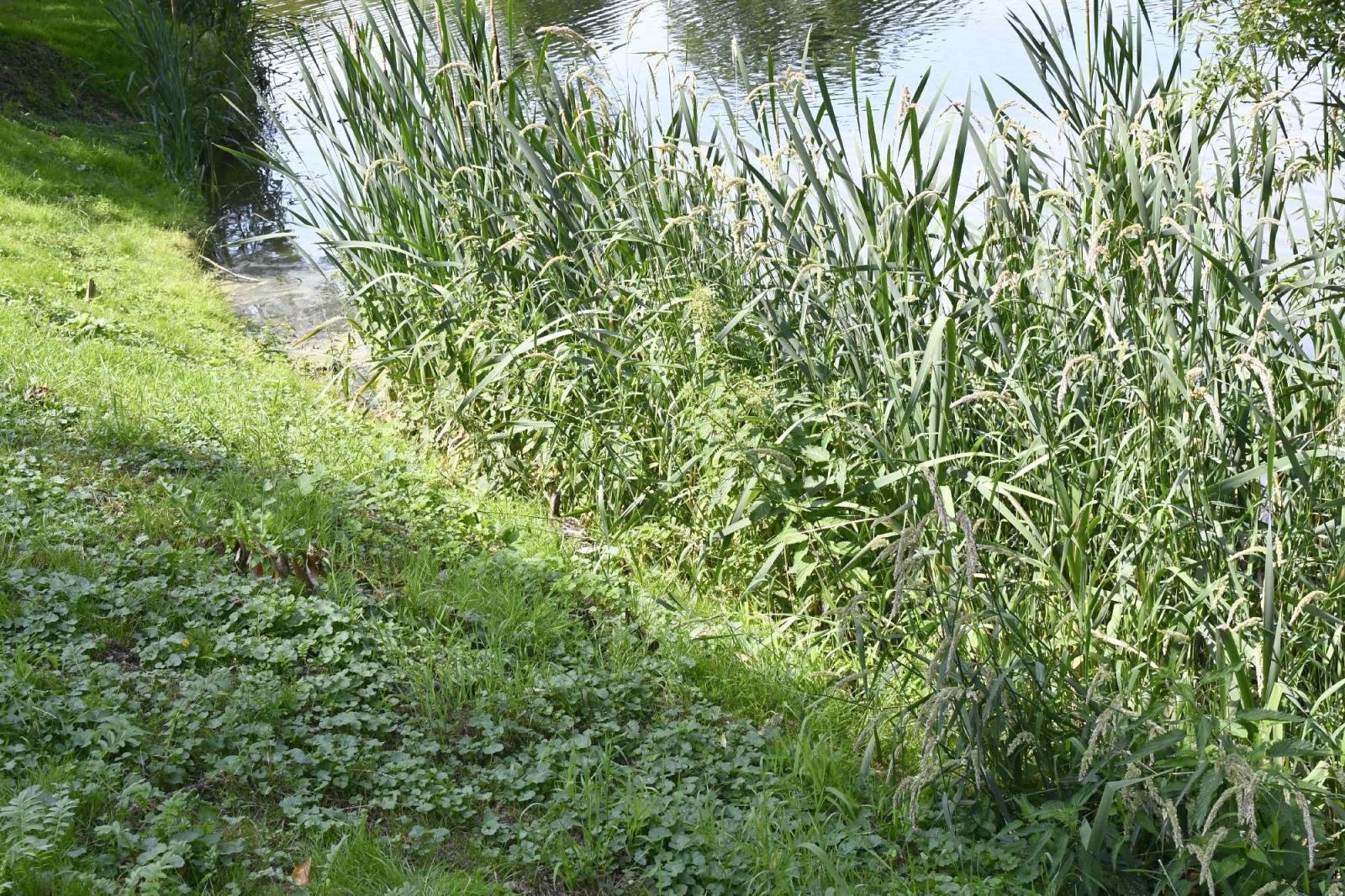 Zdjęcie w galerii na portalu naszraciborz.pl: Zawody w Krowiarkach. Wędkarze lubią tu przyjeżdżać wiadomości z regionu