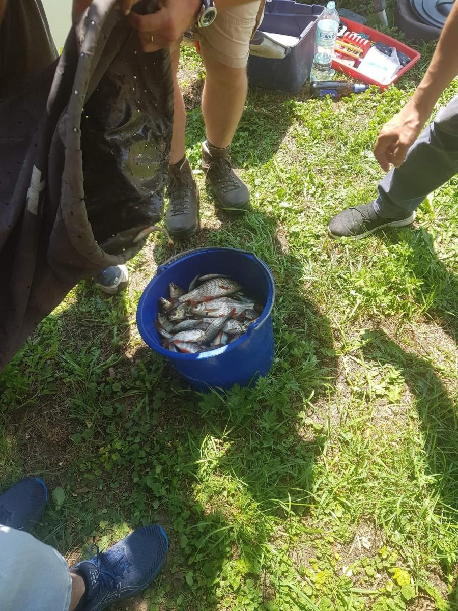 Zdjęcie w galerii na portalu naszraciborz.pl: Zawody w Krowiarkach. Wędkarze lubią tu przyjeżdżać wiadomości z regionu