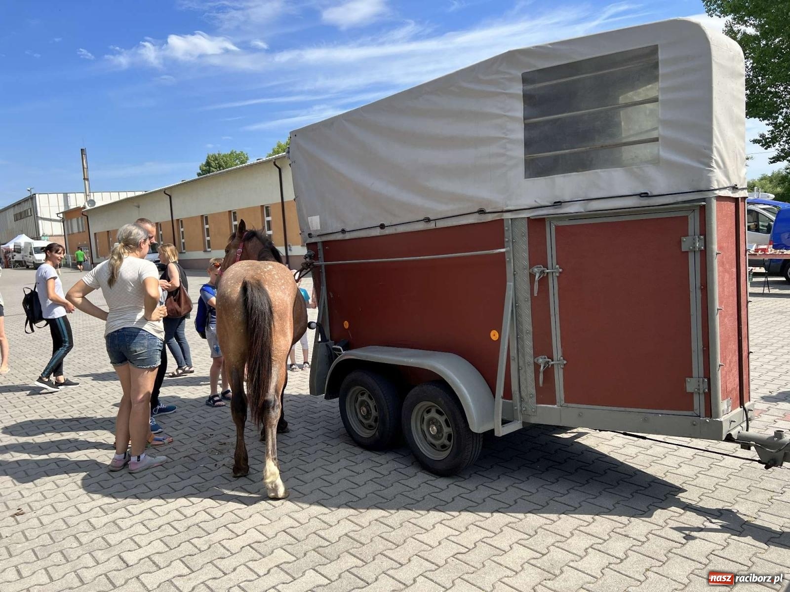Zdjęcie w galerii na portalu naszraciborz.pl: Elvis z Lyonu w Pietrowicach Wielkich wiadomości z regionu