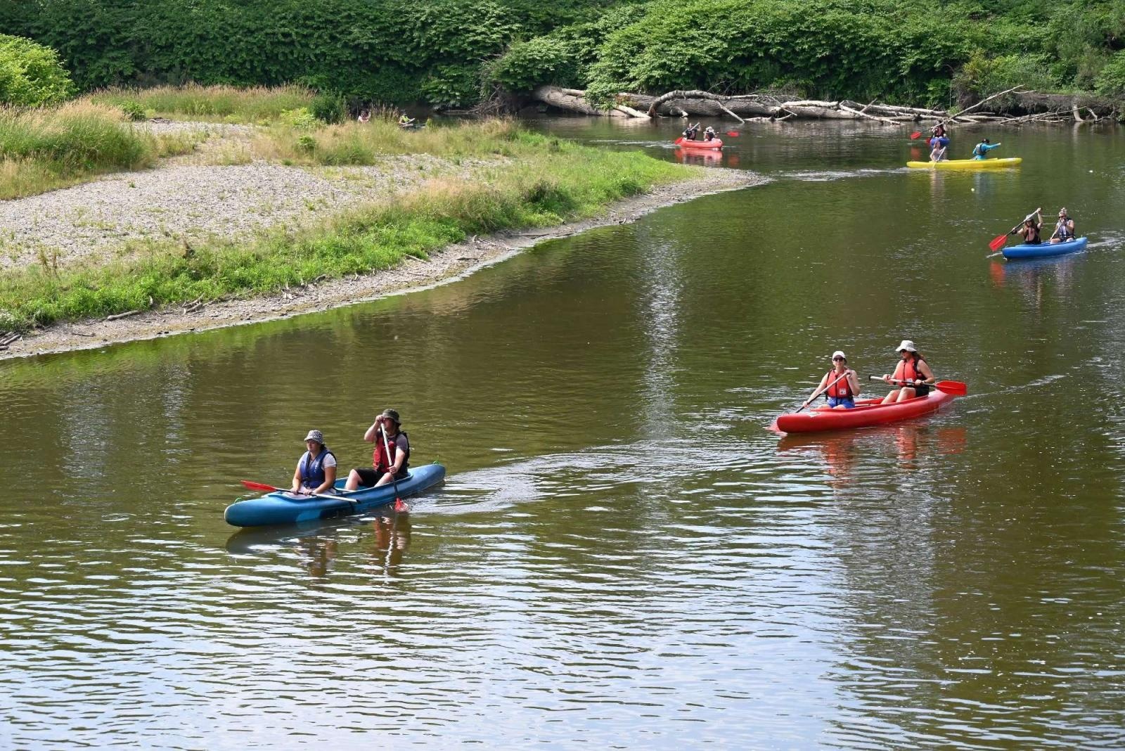Zdjęcie w galerii na portalu naszraciborz.pl: Festiwal Górnej Odry w Chałupkach [ZDJĘCIA] wiadomości z regionu