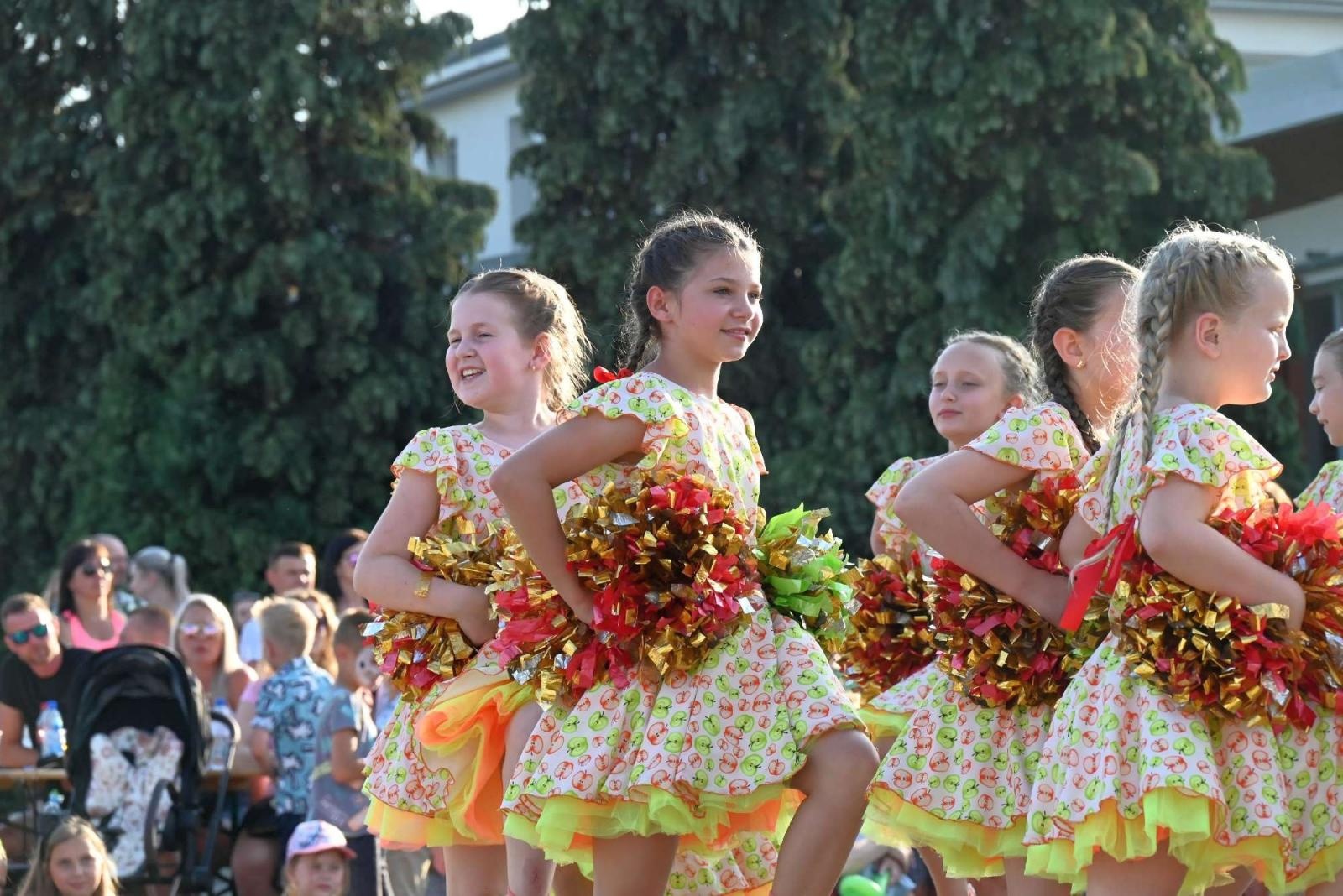 Zdjęcie w galerii na portalu naszraciborz.pl: Festiwal Górnej Odry w Chałupkach [ZDJĘCIA] wiadomości z regionu