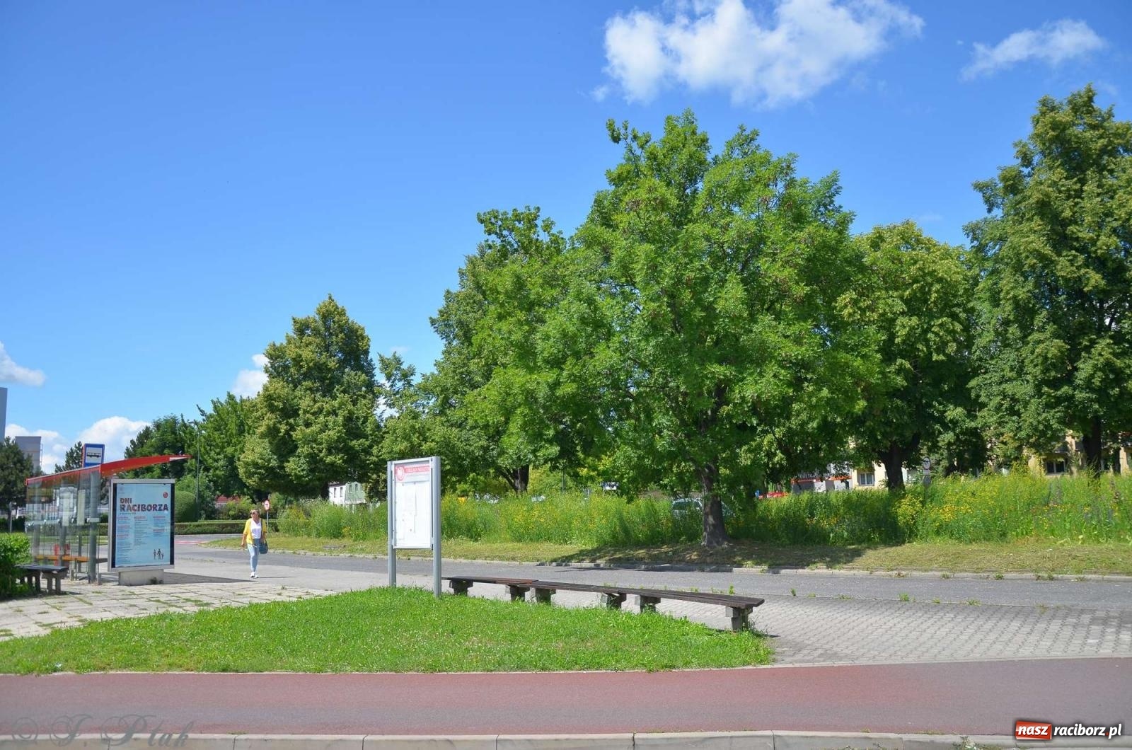 Zdjęcie w galerii na portalu naszraciborz.pl: Asfalciarnia i teren w Studziennej – mieszkańcy sobie nie życzą! wiadomości z regionu