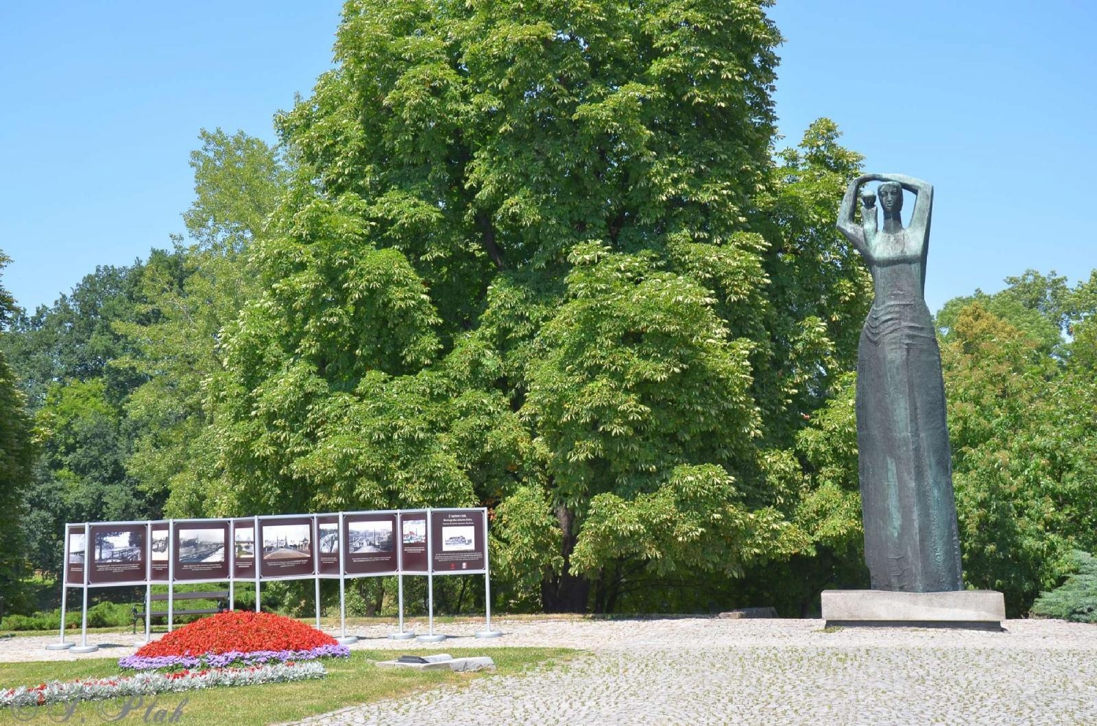 Zdjęcie w galerii na portalu naszraciborz.pl: Raciborzanka dla ochłody i basenik na plaży - niedziela na bulwarach wiadomości z regionu