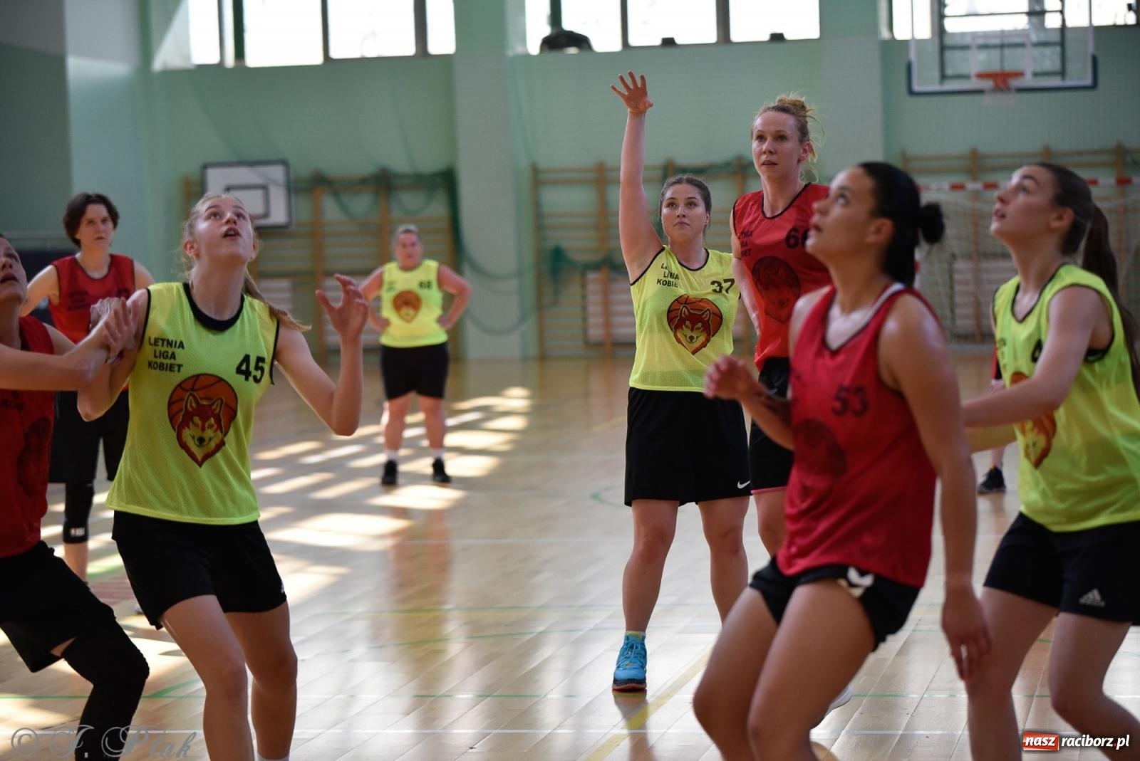 Zdjęcie w galerii na portalu naszraciborz.pl: Rywalizacja z miłości do dyscypliny. Liga Koszykówki Kobiet w Raciborzu [FOTO] wiadomości z regionu