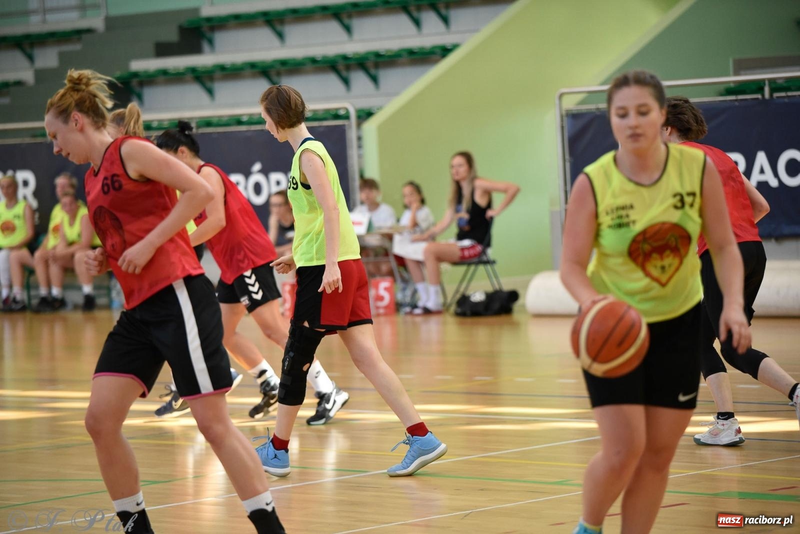Zdjęcie w galerii na portalu naszraciborz.pl: Rywalizacja z miłości do dyscypliny. Liga Koszykówki Kobiet w Raciborzu [FOTO] wiadomości z regionu