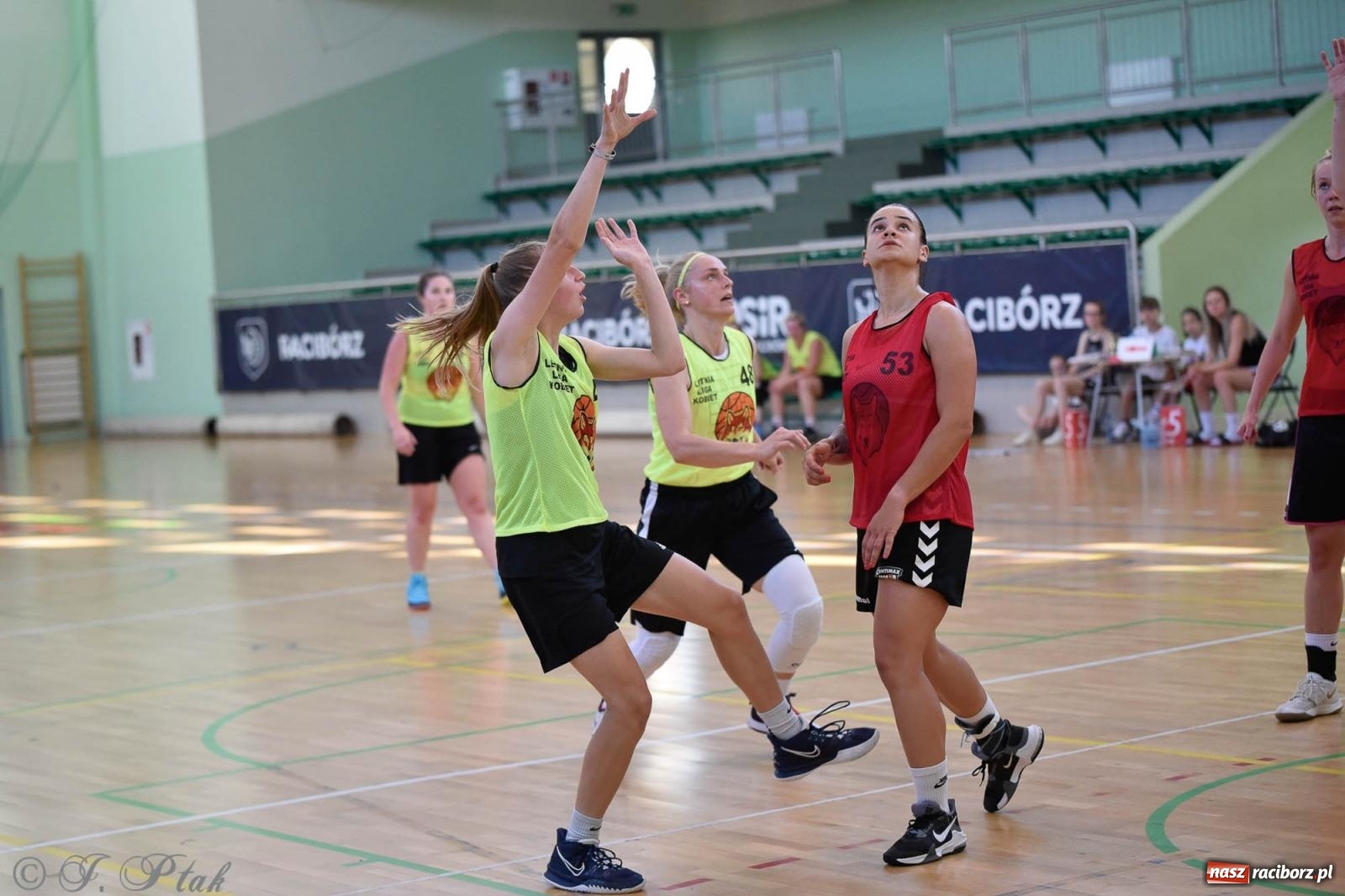Zdjęcie w galerii na portalu naszraciborz.pl: Rywalizacja z miłości do dyscypliny. Liga Koszykówki Kobiet w Raciborzu [FOTO] wiadomości z regionu