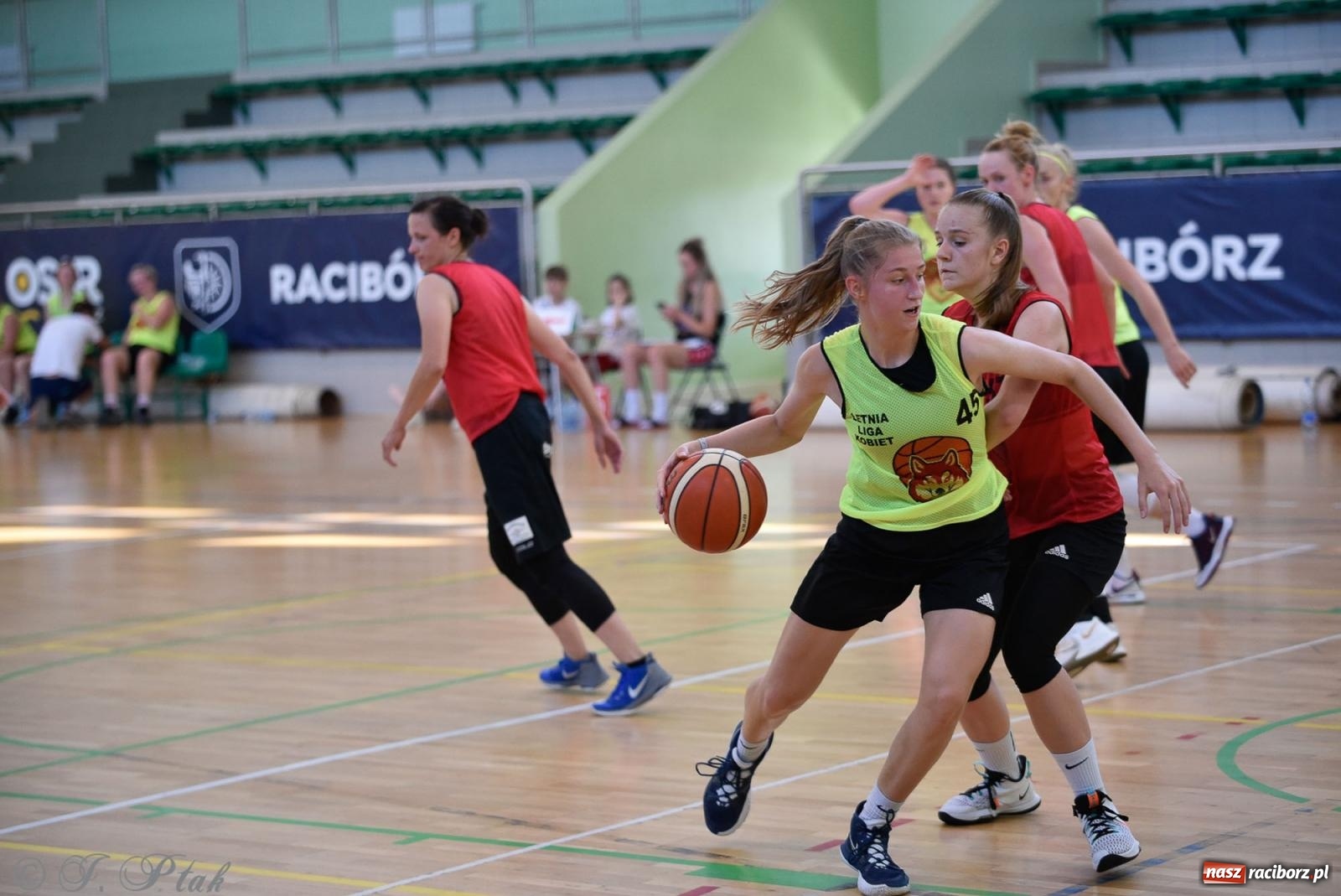 Zdjęcie w galerii na portalu naszraciborz.pl: Rywalizacja z miłości do dyscypliny. Liga Koszykówki Kobiet w Raciborzu [FOTO] wiadomości z regionu