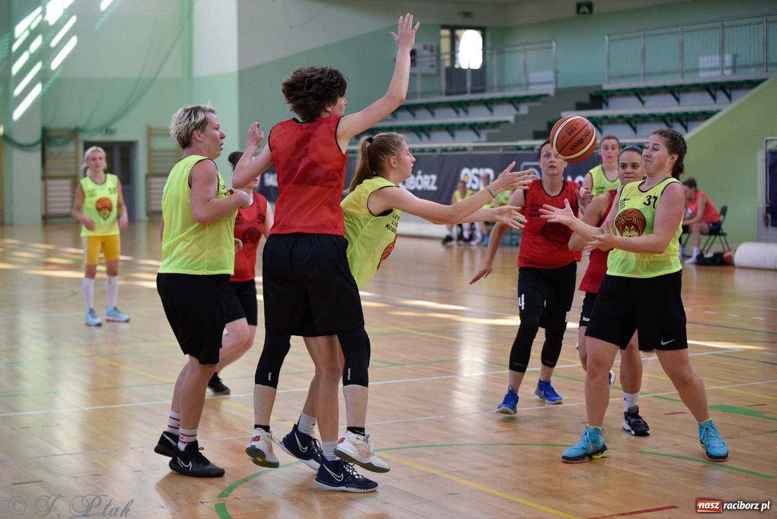 Zdjęcie w galerii na portalu naszraciborz.pl: Rywalizacja z miłości do dyscypliny. Liga Koszykówki Kobiet w Raciborzu [FOTO] wiadomości z regionu