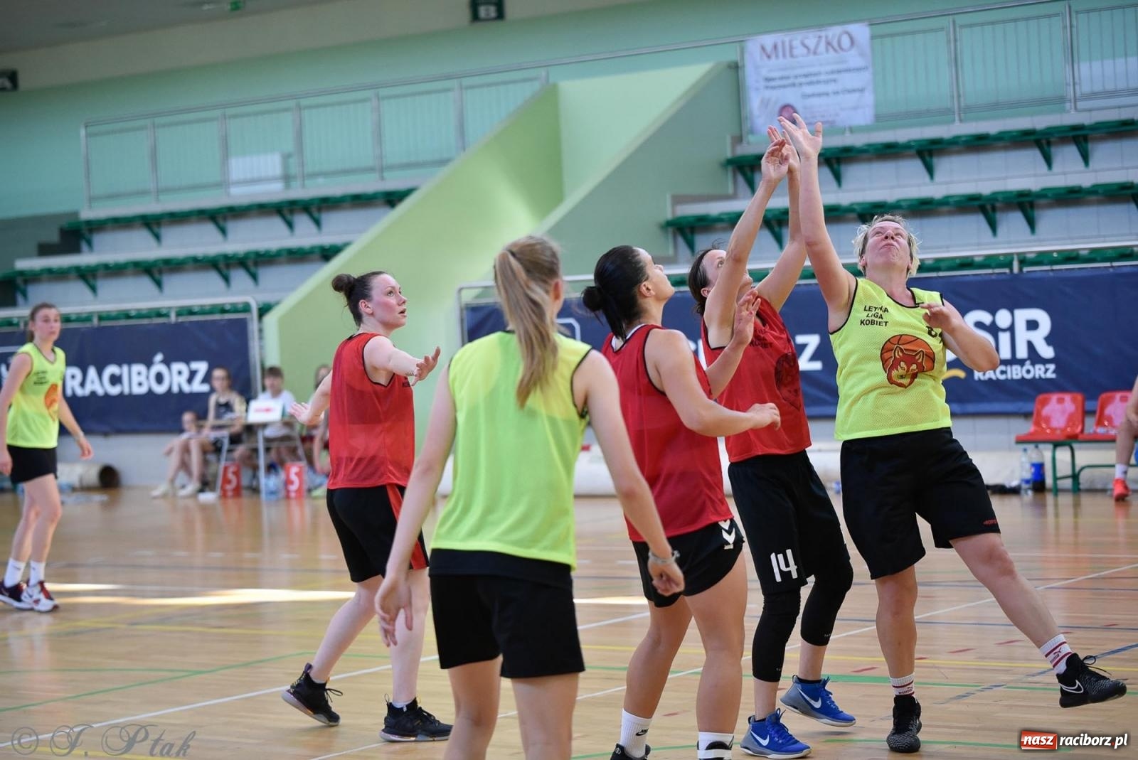 Zdjęcie w galerii na portalu naszraciborz.pl: Rywalizacja z miłości do dyscypliny. Liga Koszykówki Kobiet w Raciborzu [FOTO] wiadomości z regionu
