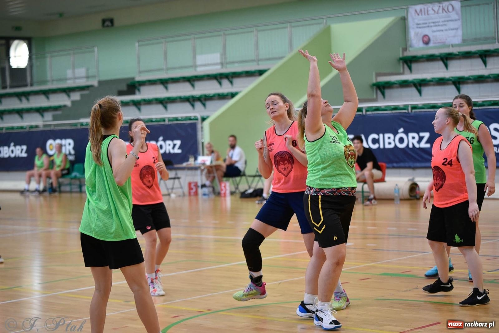 Zdjęcie w galerii na portalu naszraciborz.pl: Rywalizacja z miłości do dyscypliny. Liga Koszykówki Kobiet w Raciborzu [FOTO] wiadomości z regionu