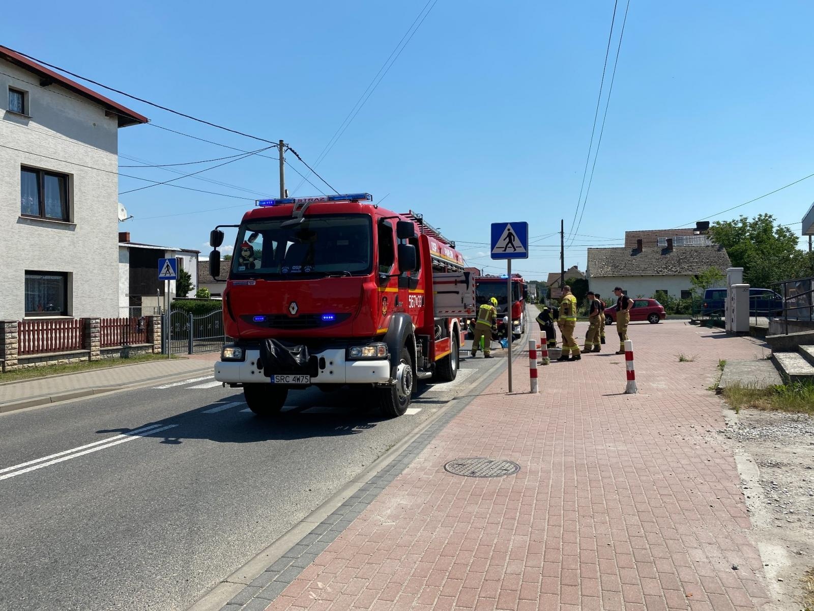 Zdjęcie w galerii na portalu naszraciborz.pl: Raport 998. Osy zdominowały strażacką służbę. Plama w Pawłowie wiadomości z regionu