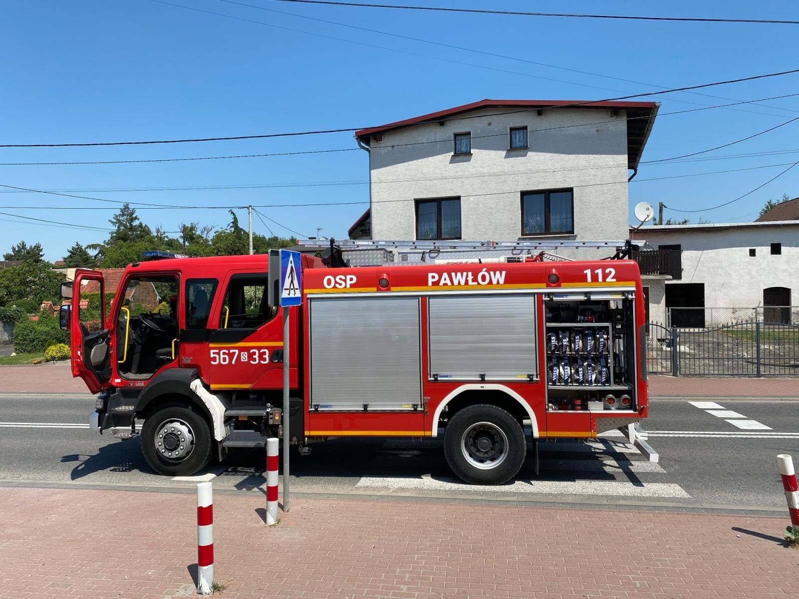 Zdjęcie w galerii na portalu naszraciborz.pl: Raport 998. Osy zdominowały strażacką służbę. Plama w Pawłowie wiadomości z regionu